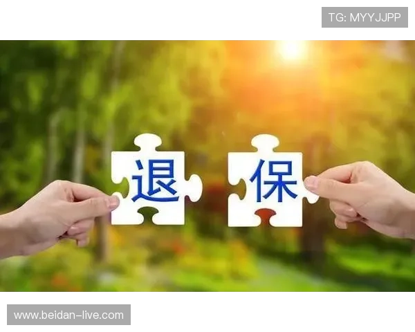 三包波胆怎么分配本金避坑防骗指南